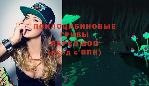 ПСИЛОЦИБИНОВЫЕ ГРИБЫ Баксан