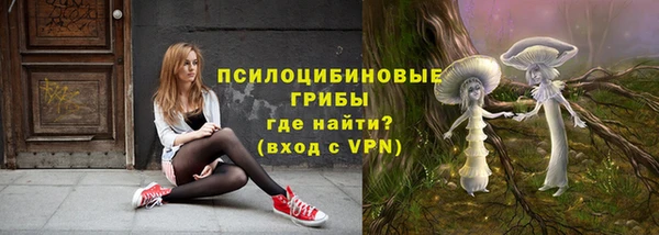 ПСИЛОЦИБИНОВЫЕ ГРИБЫ Баксан