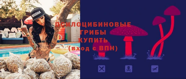 крисы Балахна