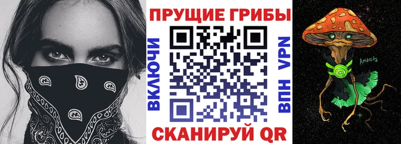купить закладку Озёры Псилоцибиновые грибы Psilocybine cubensis